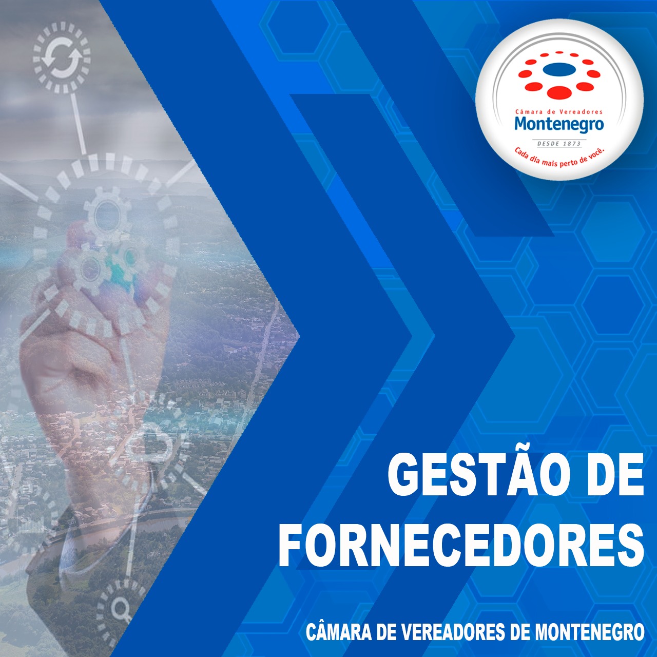 Gestão de Fornecedores