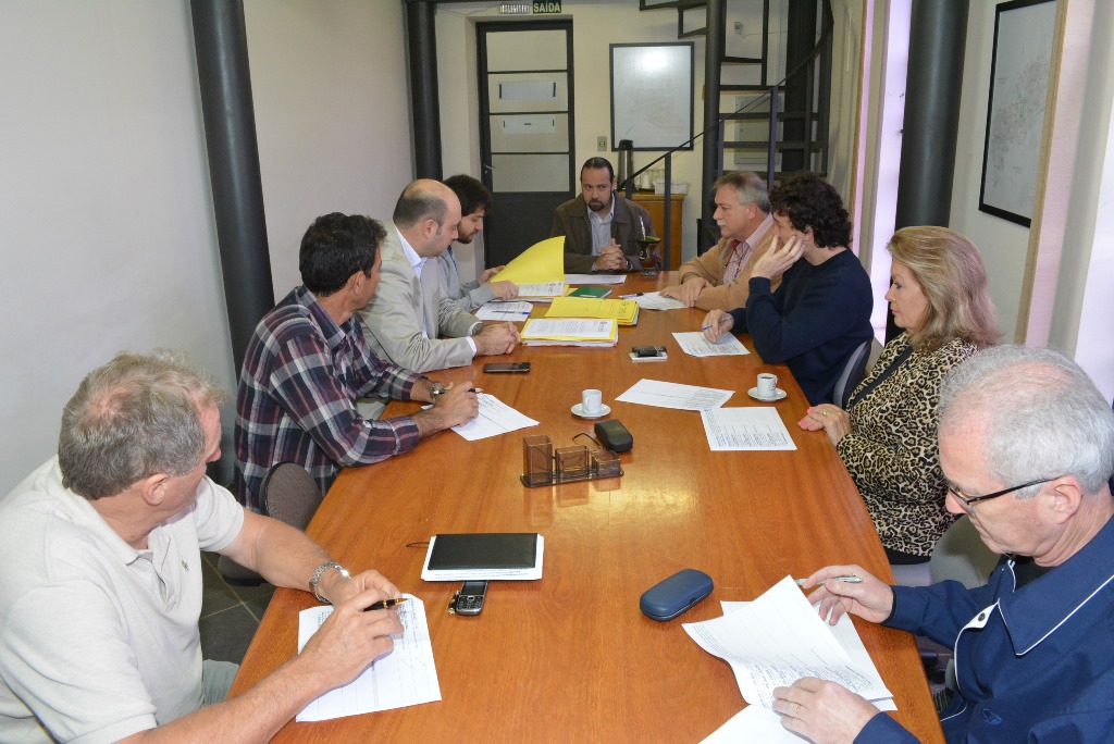 Vereadores votam projetos para substituir gestantes temporariamente