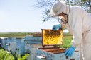 Avança formação da entidade representativa dos apicultores do Vale