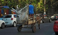Câmara de Vereadores recebe projeto do executivo para retirada de veículos de tração animal das ruas 