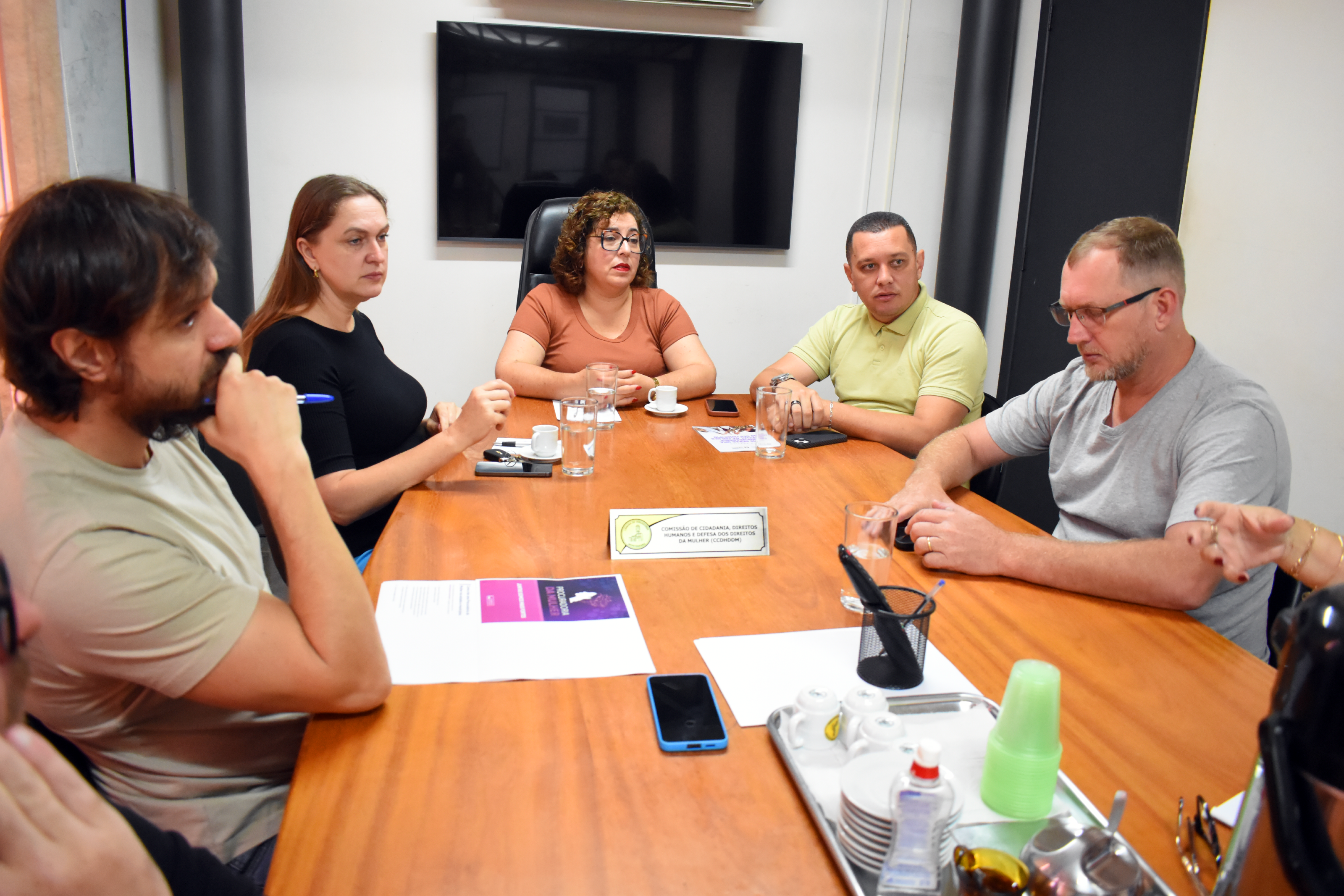 Comissão define primeiros passos para funcionamento da Procuradoria Especial da Mulher 