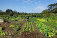 Comissão Geral de Pareceres aprova requerimento de reunião voltado para a agricultura