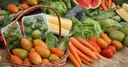 Projeto de Lei voltado para doação de alimentos é aprovado pela CGP Projeto de Lei voltado para doação de alimentos é aprovado pela CGP